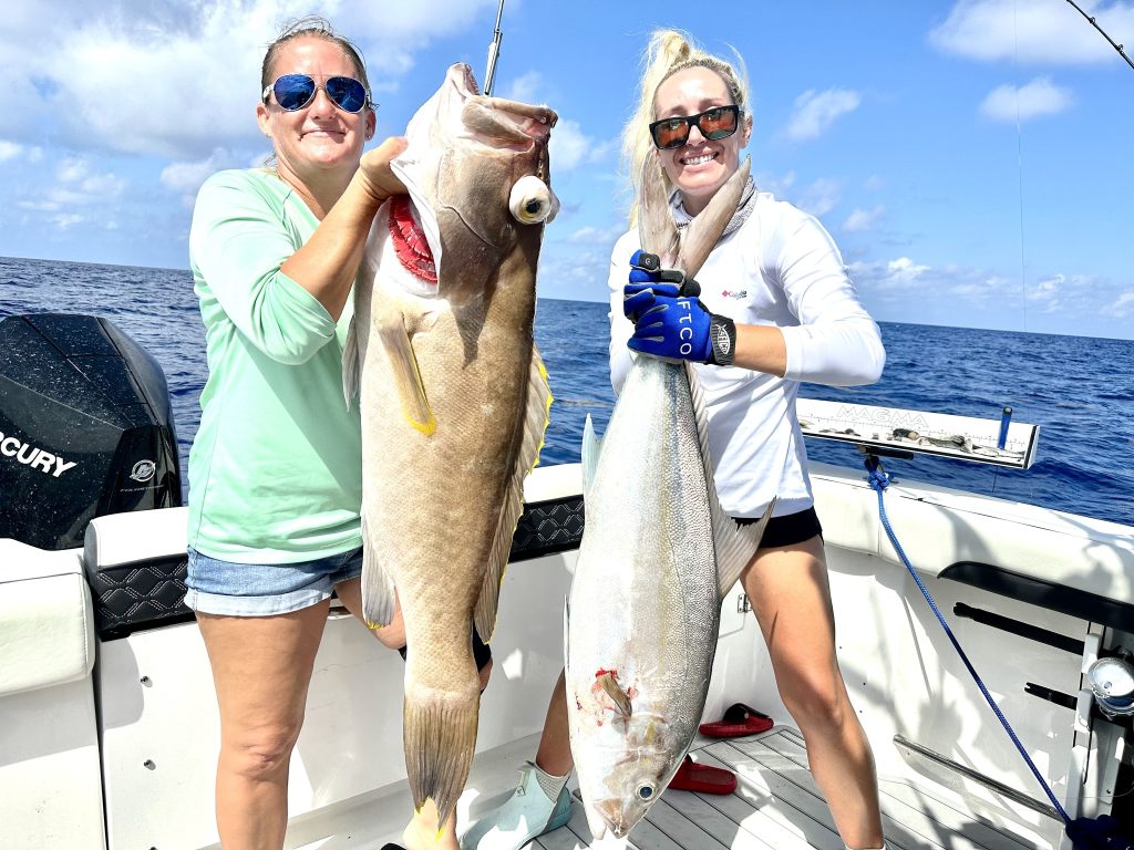 Picture of a Yellow Edge Grouper and an Amberjack